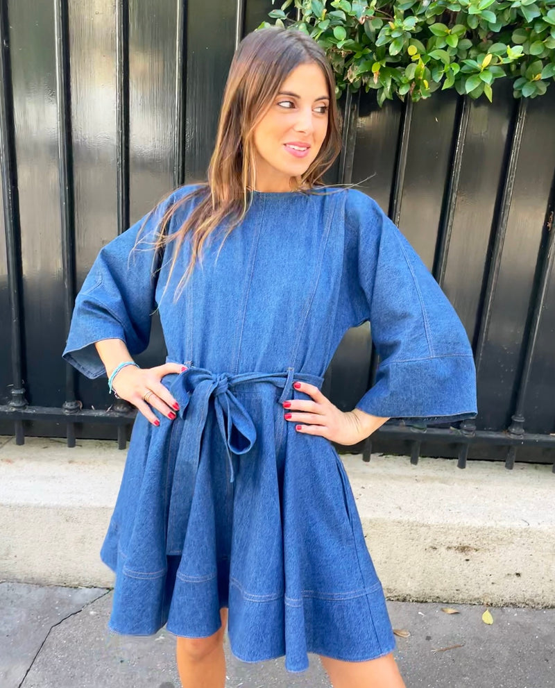 Sandra Denim Dress - FW22 - Alexandra Rafie